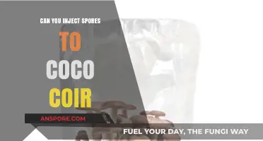 Injecting Spores into Coco Coir: Benefits, Techniques, and Best Practices