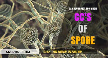 Injecting Spores: Risks of Overusing CCs and Potential Dangers