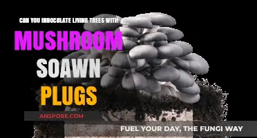 Inoculating Living Trees with Mushroom Spawn Plugs: A Viable Practice?