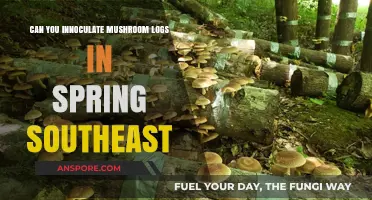 Spring Inoculation Tips for Mushroom Logs in the Southeast