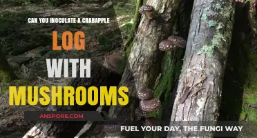 Inoculating Crabapple Logs: A Guide to Growing Mushrooms Successfully