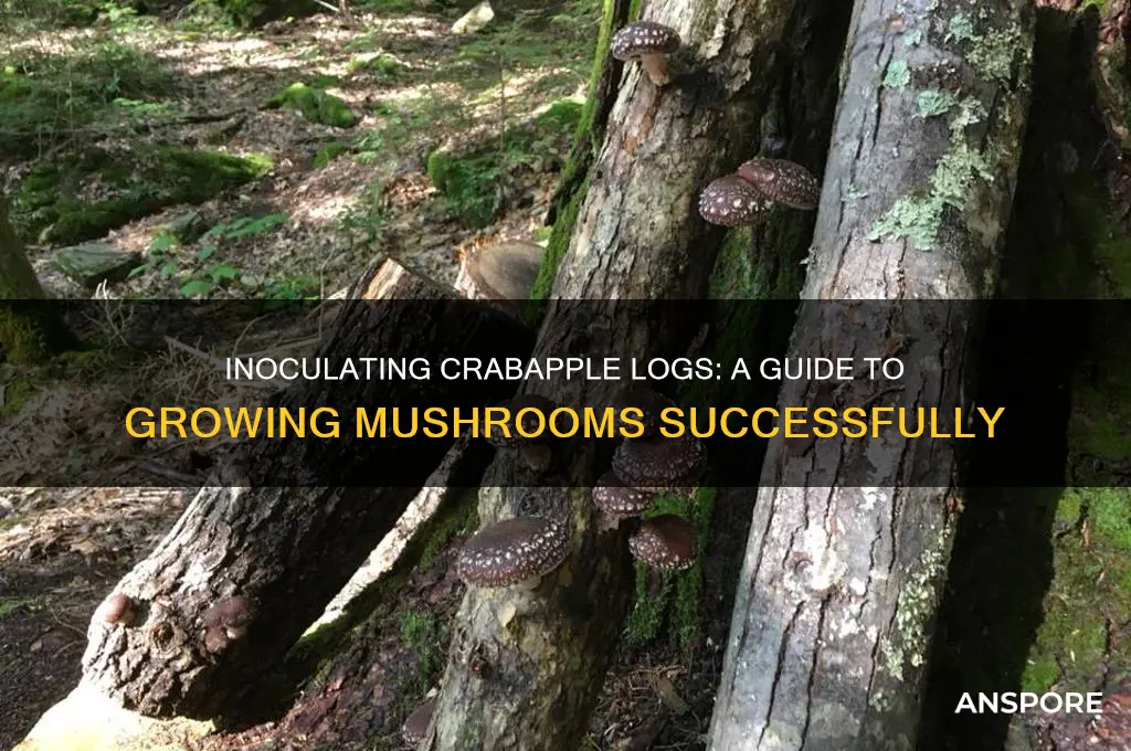 can you inoculate a crabapple log with mushrooms
