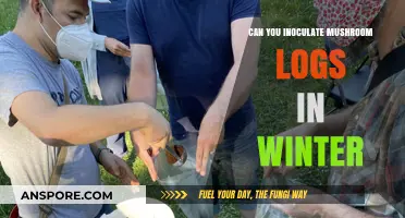 Winter Inoculation: Can You Successfully Inoculate Mushroom Logs in Cold Weather?