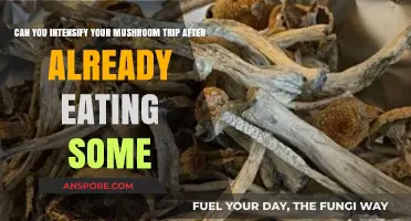 Enhancing Your Mushroom Experience: Tips to Safely Intensify a Trip