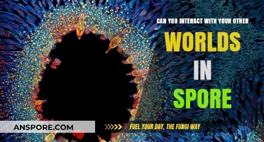 Exploring Interworld Interactions: Can You Connect with Other Worlds in Spore?