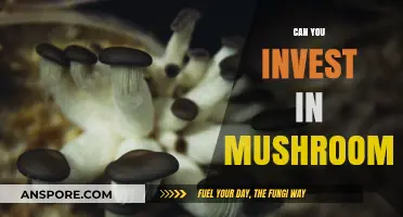 Investing in Mushrooms: Exploring the Potential of Fungal Ventures