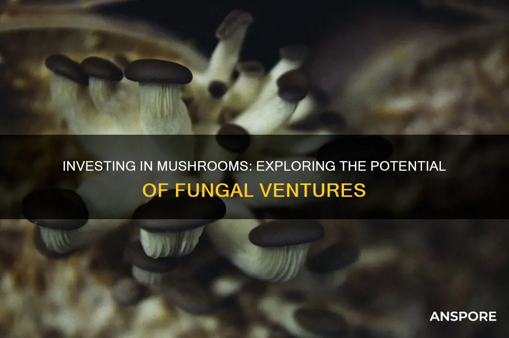 can you invest in mushrooms