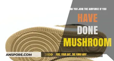 Air Force Recruitment: Can Past Mushroom Use Disqualify You?