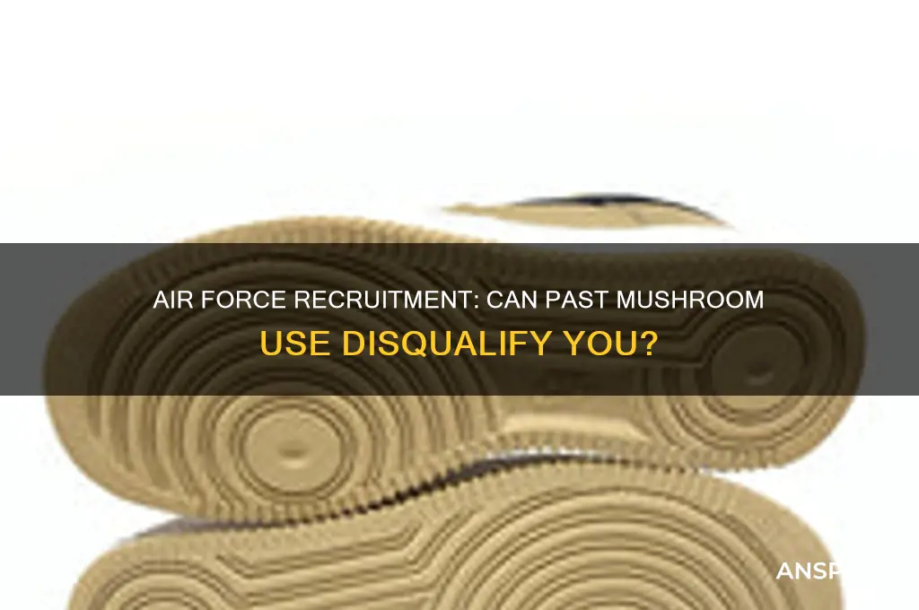 can you join the airforce if you have done mushrooms