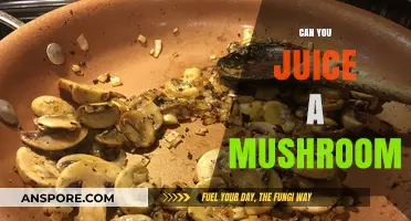 Juicing Mushrooms: Benefits, Methods, and Creative Recipes to Try