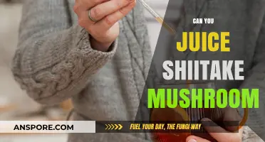 Juicing Shiitake Mushrooms: Benefits, Methods, and Creative Recipe Ideas