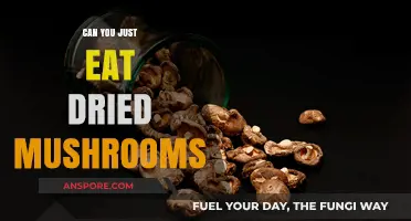 Can You Just Eat Dried Mushrooms? A Complete Guide
