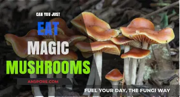Can You Just Eat Magic Mushrooms? Risks, Effects, and Safety Tips
