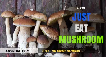 Can You Just Eat Mushrooms? Exploring the Edible Fungus Truth