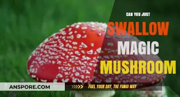 Swallowing Magic Mushrooms: Safe, Effective, or Risky Practice?