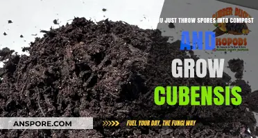Growing Cubensis from Spores in Compost: Myth or Reality?