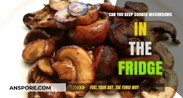 Storing Cooked Mushrooms: Fridge Tips for Freshness and Safety