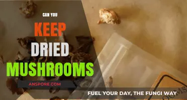 How to Properly Store Dried Mushrooms for Long-Lasting Freshness