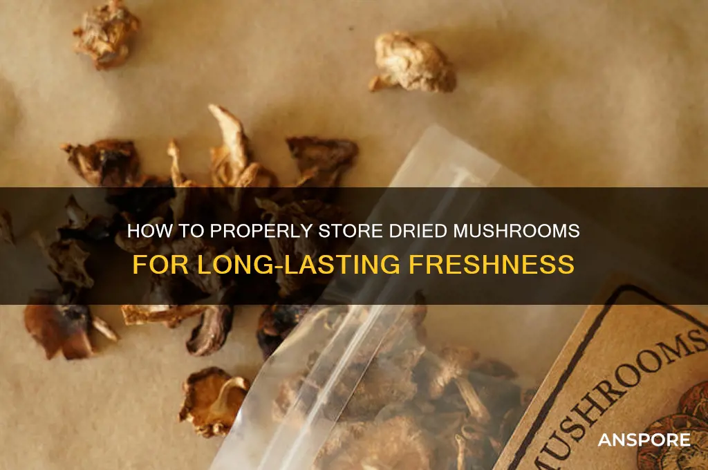can you keep dried mushrooms