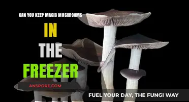 Freezing Magic Mushrooms: Best Storage Method or Risky Move?