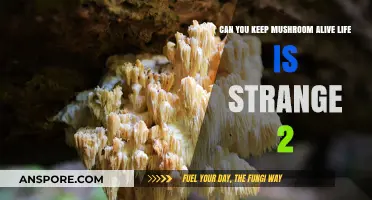 Keeping Mushrooms Alive in Life is Strange 2: Tips and Tricks