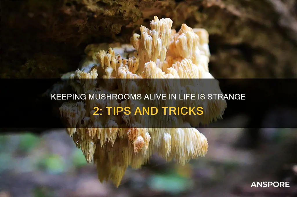 can you keep mushroom alive life is strange 2