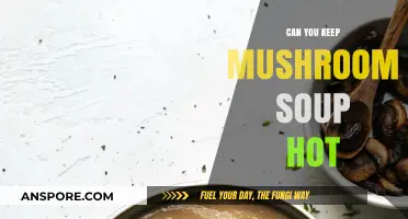 Keeping Mushroom Soup Hot: Tips for Perfect Temperature Retention