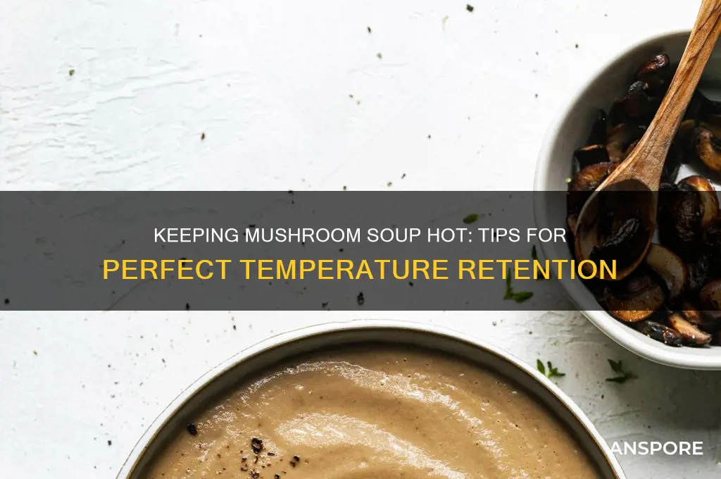 can you keep mushroom soup hot
