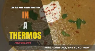 Keeping Mushroom Soup Hot: Thermos Tips for Freshness and Flavor