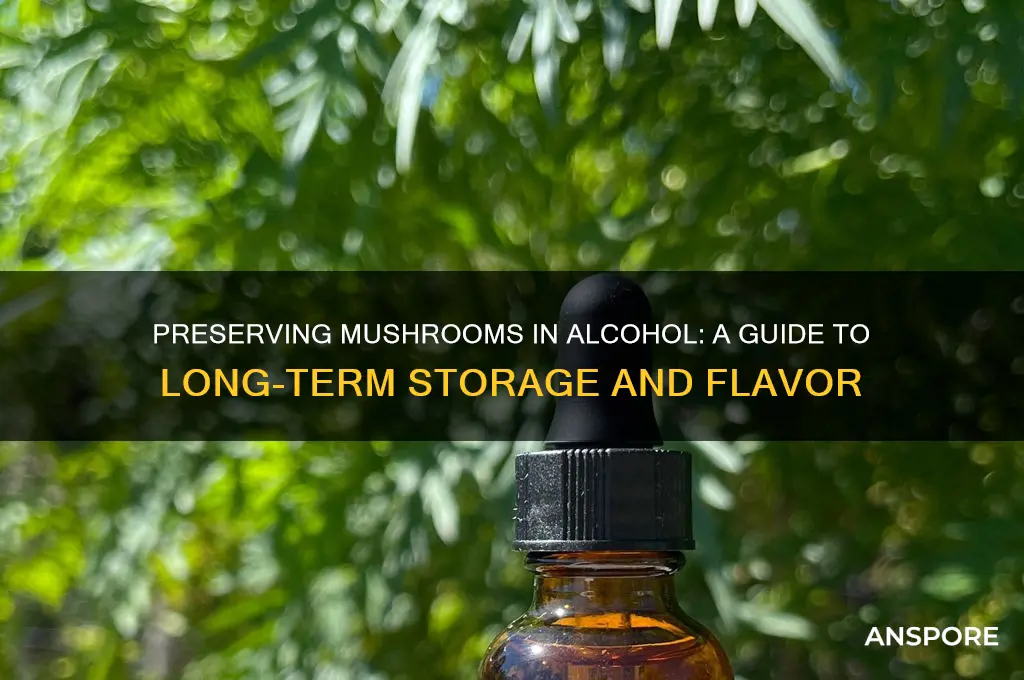 can you keep mushrooms in alcohol