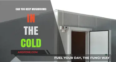 Storing Mushrooms in the Cold: Best Practices for Freshness and Longevity