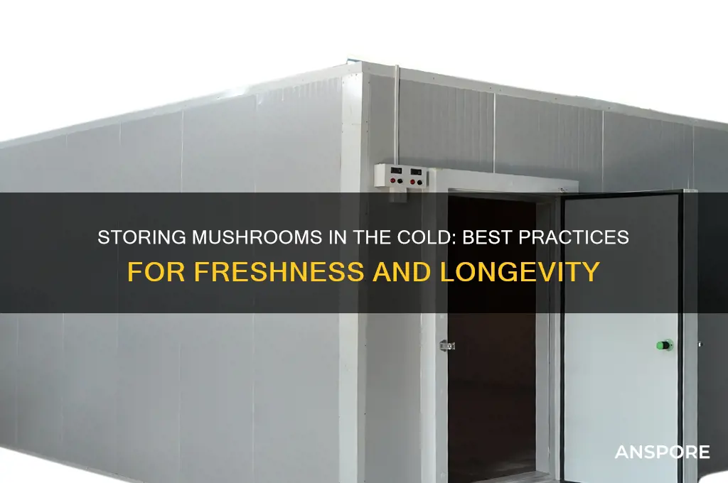 can you keep mushrooms in the cold
