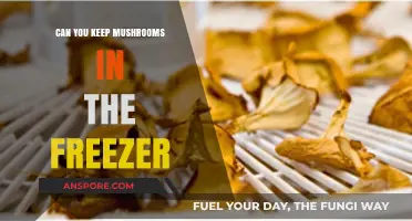 Freezing Mushrooms: A Guide to Preserving Freshness and Flavor