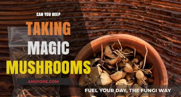 Exploring Long-Term Effects: Can You Keep Taking Magic Mushrooms?