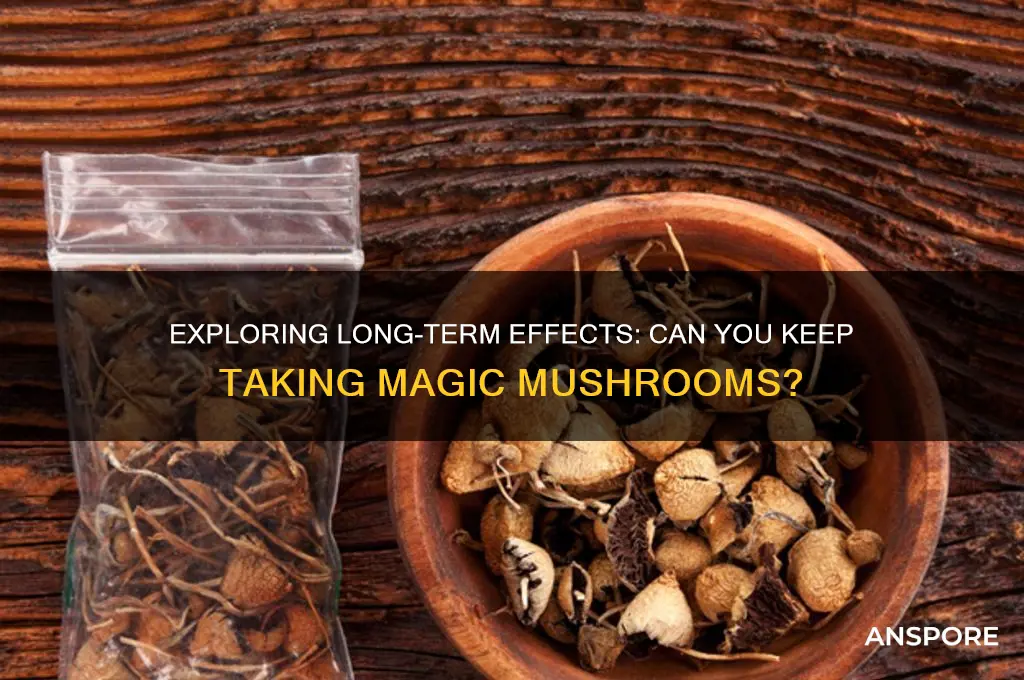 can you keep taking magic mushrooms