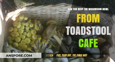 Preserving the Mushroom Bowl: Tips from Toadstool Cafe's Iconic Dish