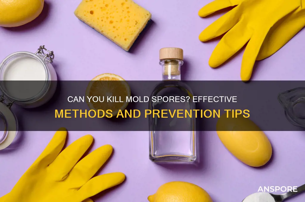 can you kill mold spore