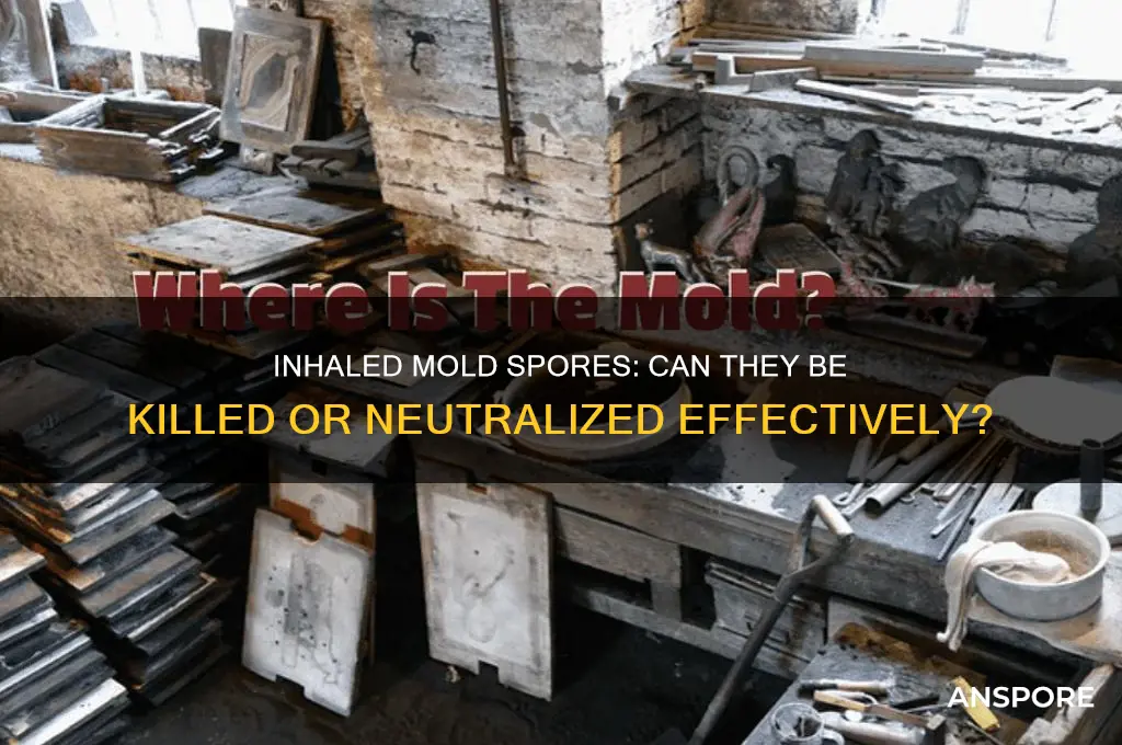 can you kill mold spores if inhaled