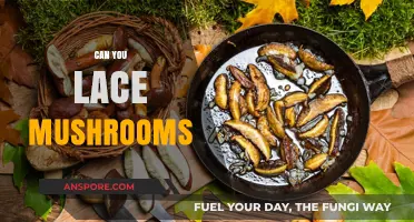 Lacing Mushrooms: Creative Techniques, Safety Tips, and Culinary Possibilities