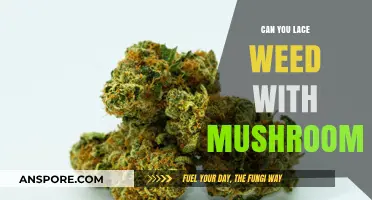 Lacing Weed with Mushrooms: Risks, Effects, and Legal Concerns