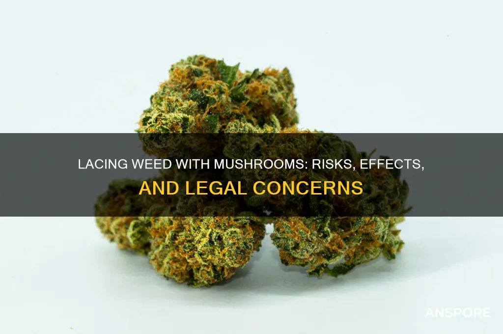 can you lace weed with mushrooms