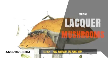 Lacquering Mushrooms: A Creative Guide to Preserving and Decorating Fungi