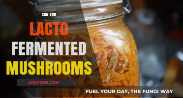 Lacto-Fermented Mushrooms: A Tasty, Gut-Healthy Preservation Method Explained