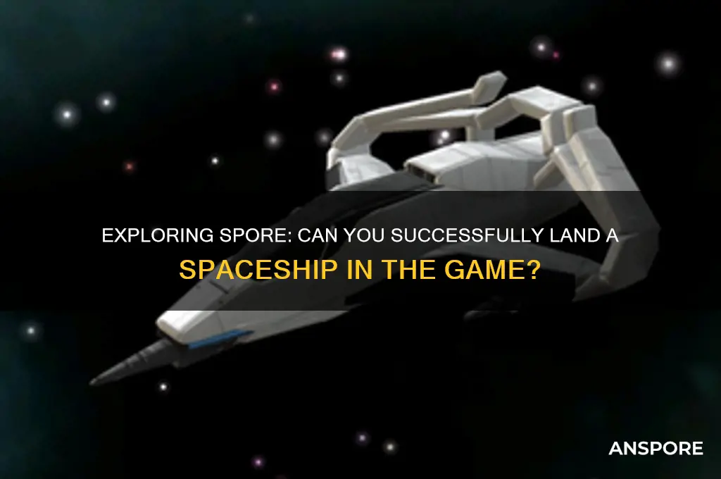 can you land a space ship in spore