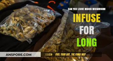 How Long Can You Safely Infuse Magic Mushrooms for Optimal Results?