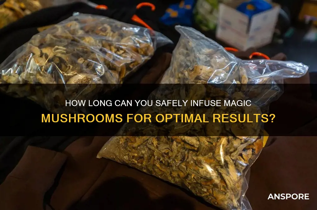 can you leave magic mushroom infuse for long