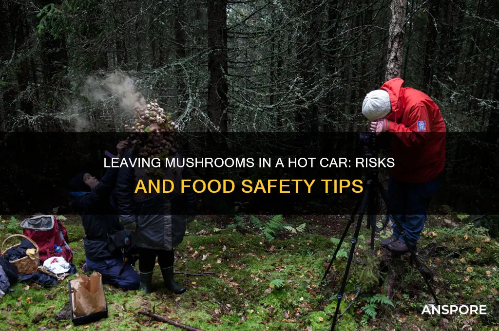 can you leave mushrooms in a hot car