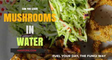 Should You Soak Mushrooms in Water? A Culinary Debate Explored
