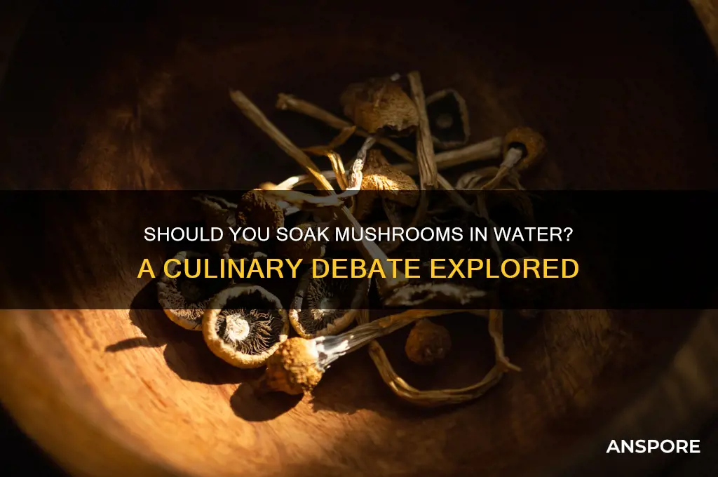 can you leave mushrooms in water