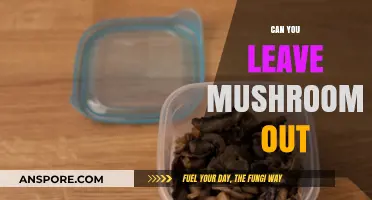 Can You Leave Mushrooms Out? Storage Tips and Safety Guide